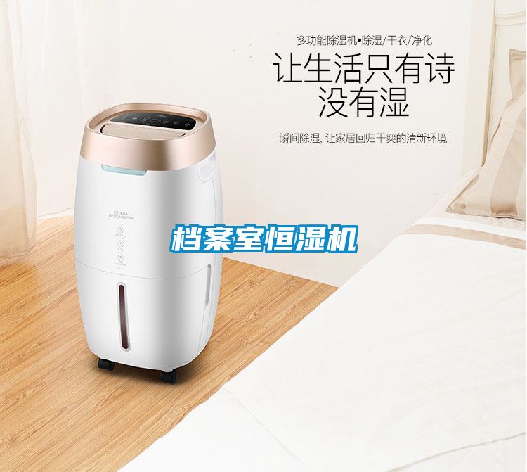 档案室恒湿机