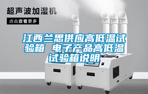 江西兰思供应高低温试验箱 电子产品高低温试验箱说明