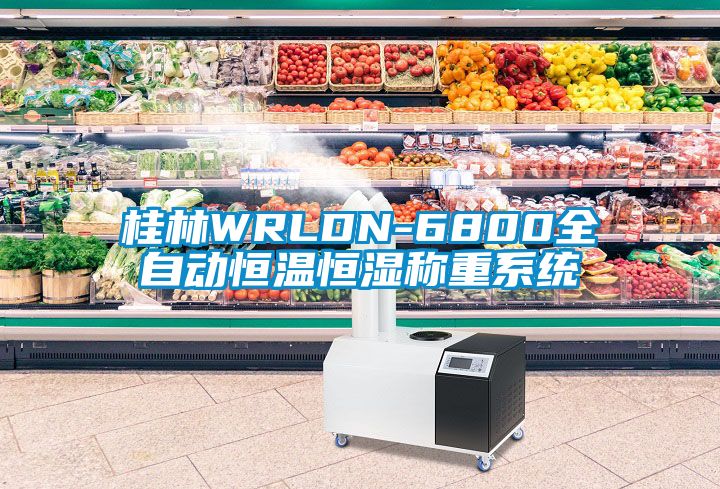 桂林WRLDN-6800全自动恒温恒湿称重系统
