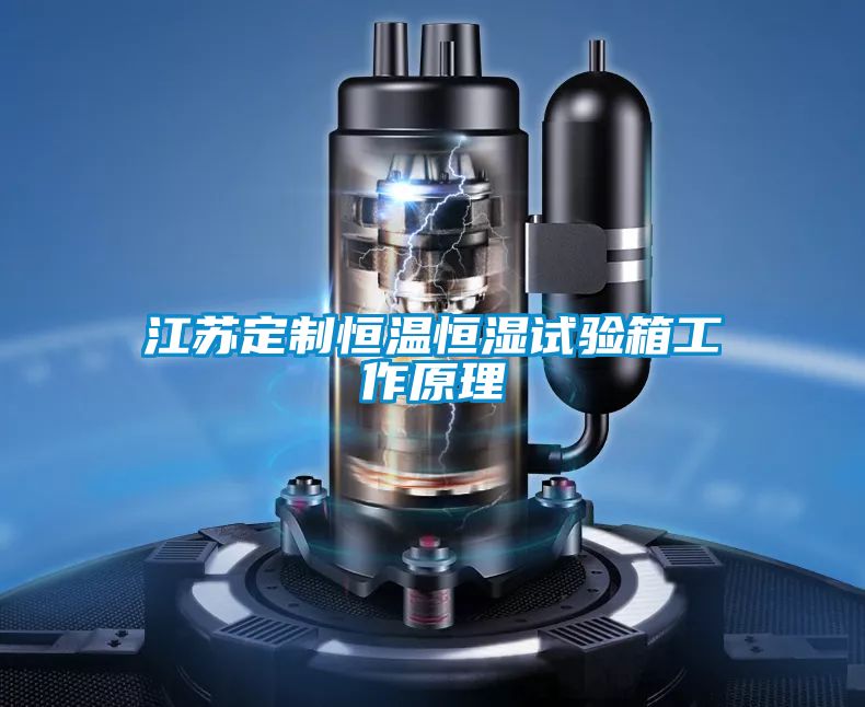江苏定制恒温恒湿试验箱工作原理