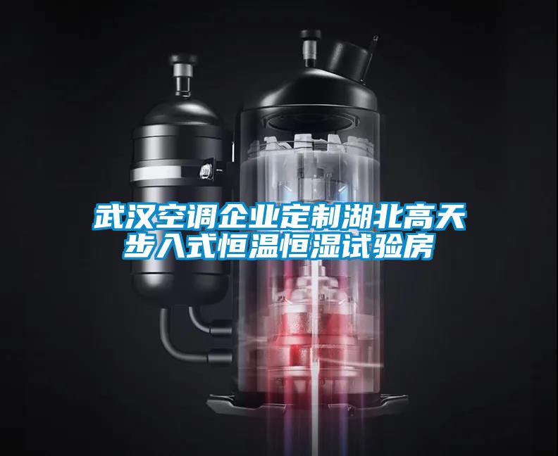 武汉空调企业定制湖北高天步入式恒温恒湿试验房