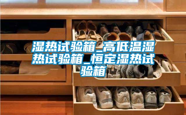 湿热试验箱_高低温湿热试验箱_恒定湿热试验箱