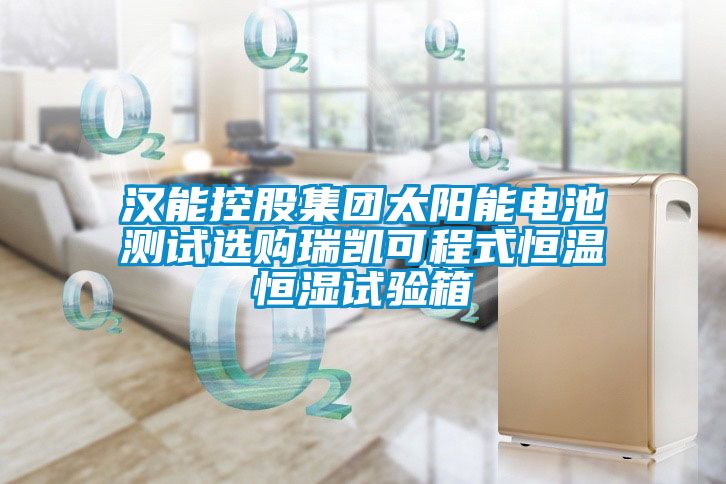 汉能控股集团太阳能电池测试选购瑞凯可程式恒温恒湿试验箱
