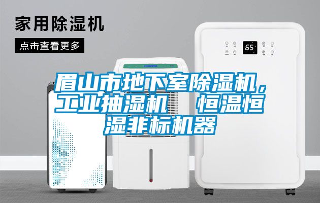 眉山市地下室除湿机，工业抽湿机  恒温恒湿非标机器