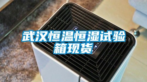 武汉恒温恒湿试验箱现货