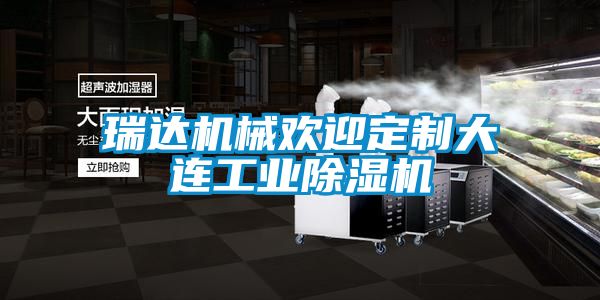 瑞达机械欢迎定制大连工业除湿机