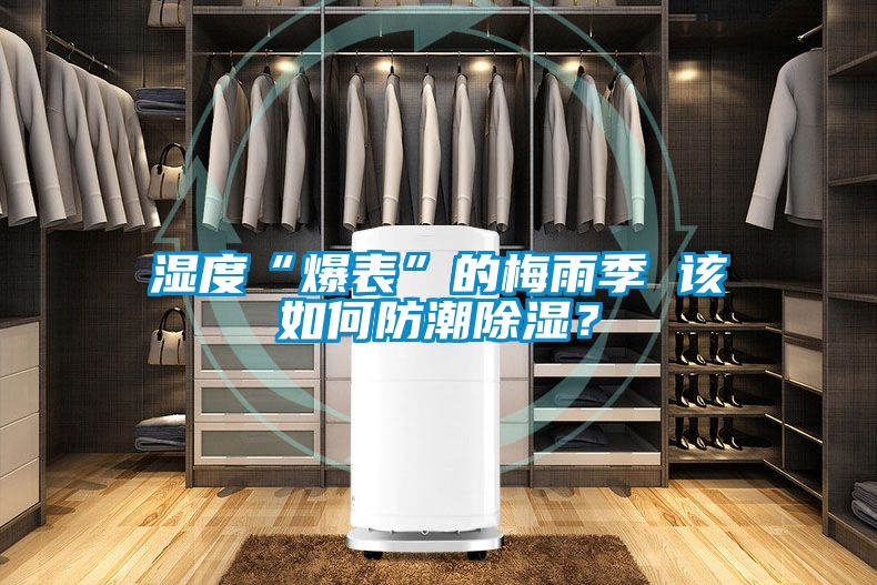 湿度“爆表”的梅雨季 该如何防潮除湿？