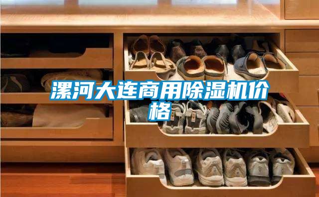 漯河大连商用除湿机价格