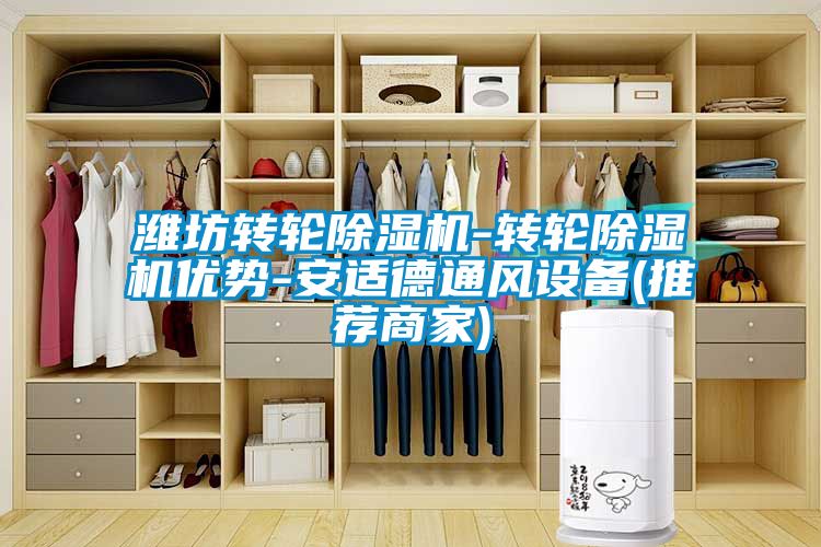潍坊转轮除湿机-转轮除湿机优势-安适德通风设备(推荐商家)