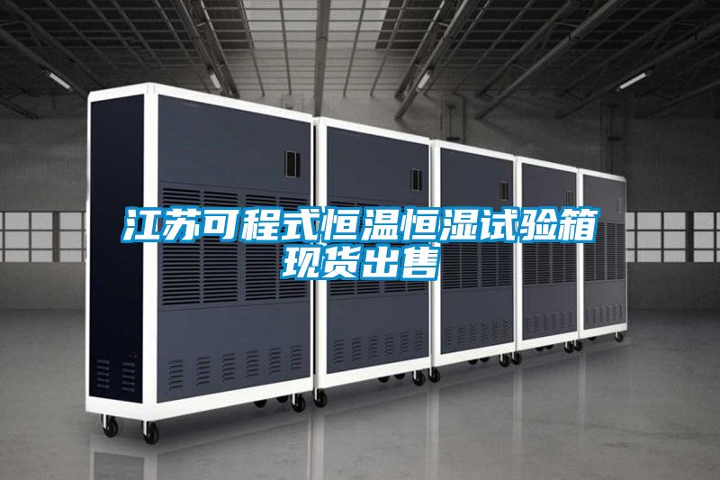 江苏可程式恒温恒湿试验箱现货出售