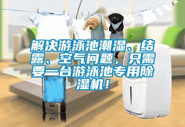 解决游泳池潮湿、结露、空气问题，只需要一台游泳池专用除湿机！