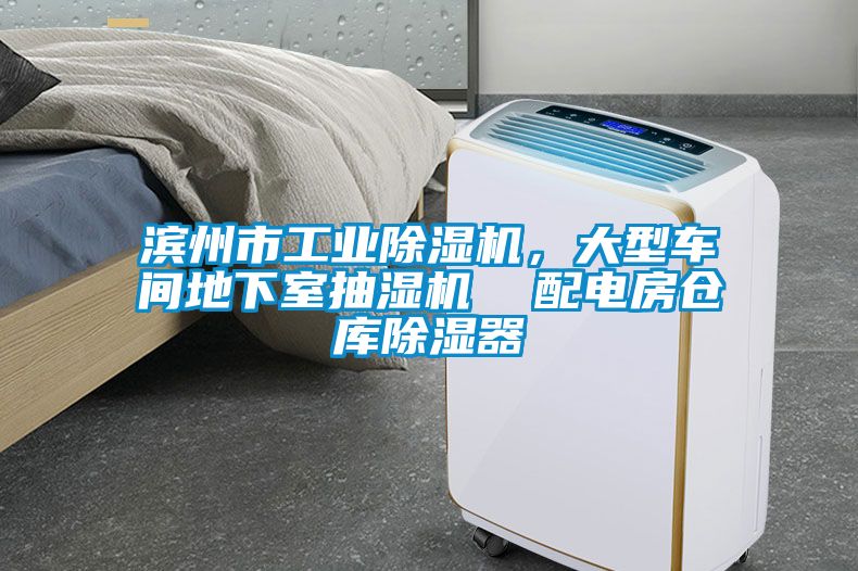滨州市工业除湿机，大型车间地下室抽湿机  配电房仓库除湿器