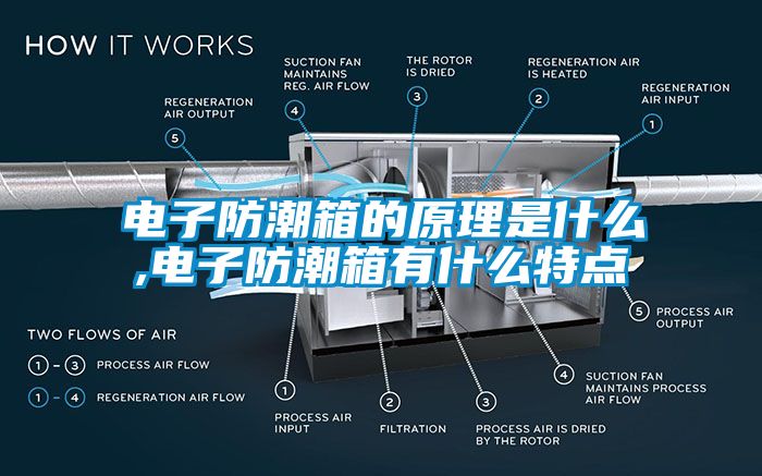 电子防潮箱的原理是什么,电子防潮箱有什么特点