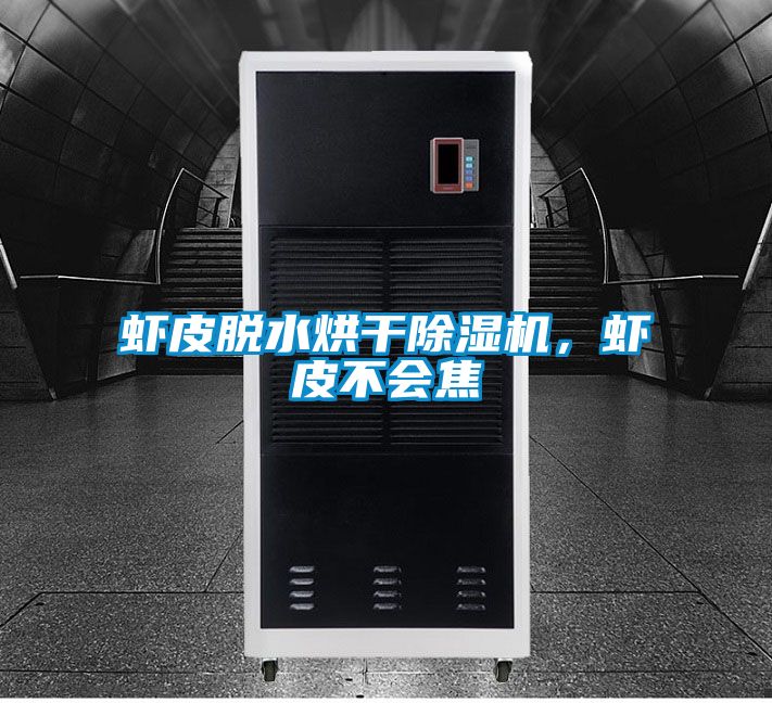 虾皮脱水烘干除湿机，虾皮不会焦
