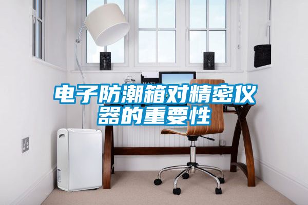 电子防潮箱对精密仪器的重要性
