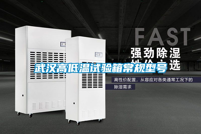 武汉高低温试验箱常规型号