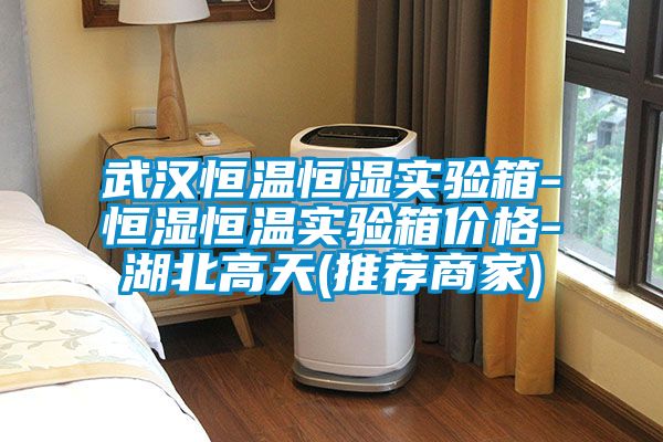 武汉恒温恒湿实验箱-恒湿恒温实验箱价格-湖北高天(推荐商家)