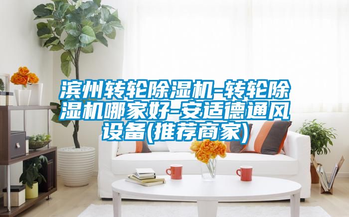滨州转轮除湿机-转轮除湿机哪家好-安适德通风设备(推荐商家)