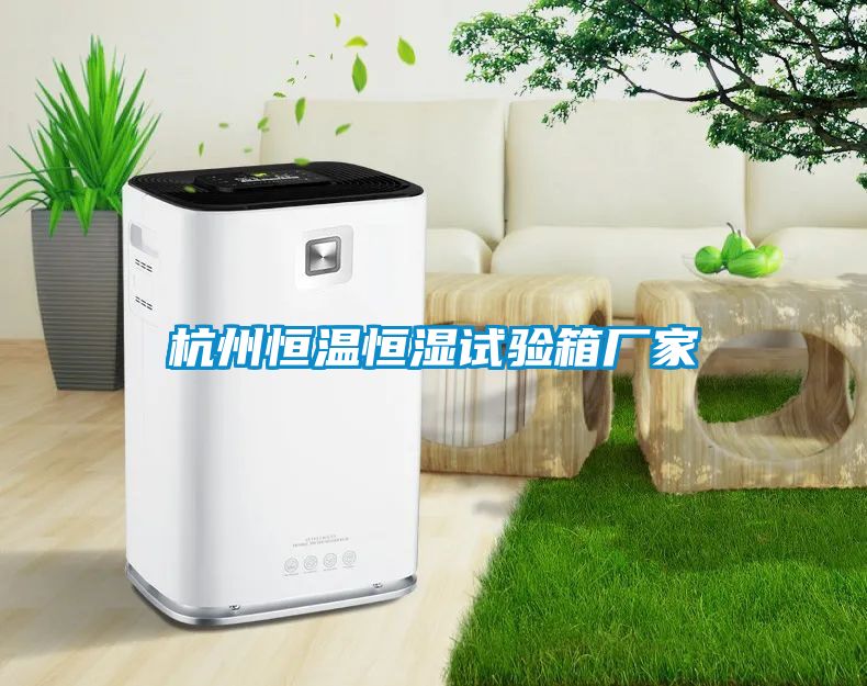 杭州恒温恒湿试验箱厂家