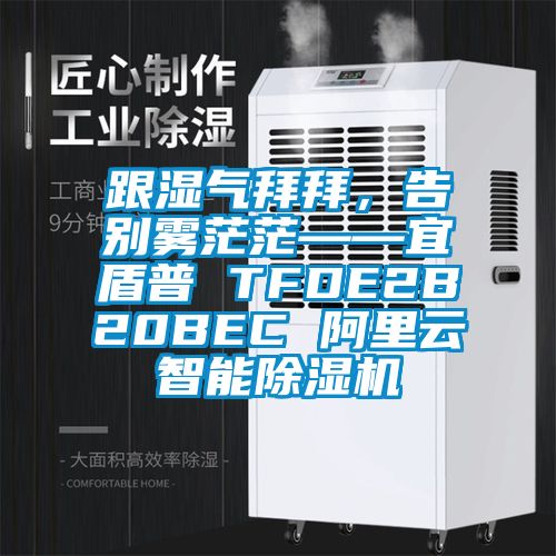 跟湿气拜拜，告别雾茫茫——宜盾普 TFDE2B20BEC 阿里云智能除湿机