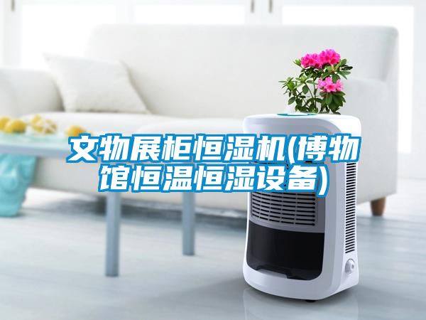 文物展柜恒湿机(博物馆恒温恒湿设备)