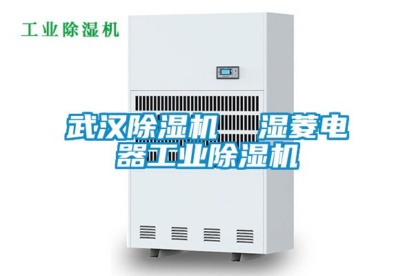 武汉除湿机  湿菱电器工业除湿机