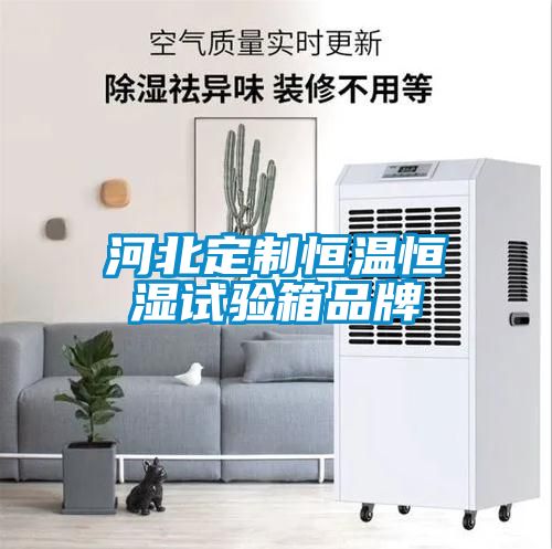 河北定制恒温恒湿试验箱品牌