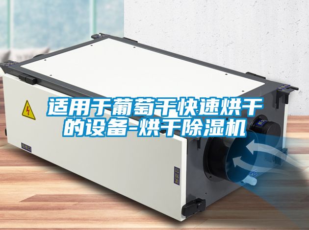 适用于葡萄干快速烘干的设备-烘干除湿机
