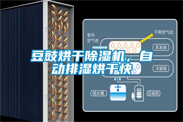 豆豉烘干除湿机，自动排湿烘干快