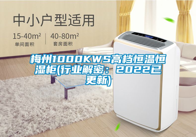 梅州1000KWS高档恒温恒湿柜(行业解密：2022已更新)