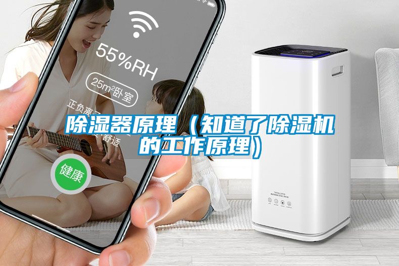 除湿器原理（知道了除湿机的工作原理）
