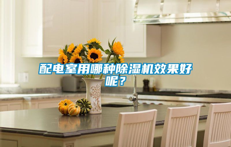 配电室用哪种除湿机效果好呢？