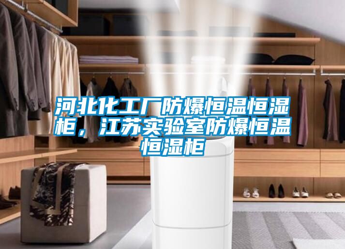 河北化工厂防爆恒温恒湿柜，江苏实验室防爆恒温恒湿柜