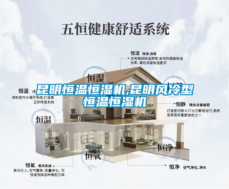 昆明恒温恒湿机,昆明风冷型恒温恒湿机