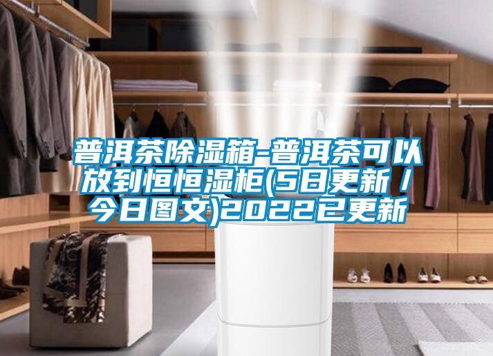 普洱茶除湿箱-普洱茶可以放到恒恒湿柜(5日更新／今日图文)2022已更新