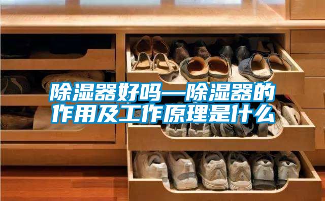 除湿器好吗—除湿器的作用及工作原理是什么