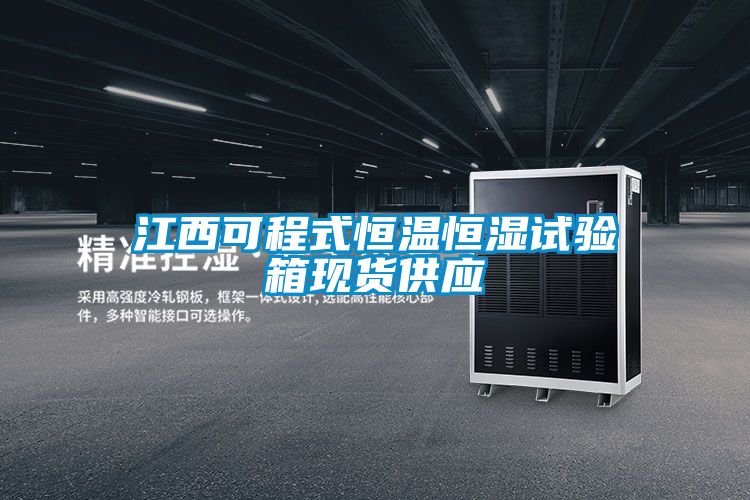 江西可程式恒温恒湿试验箱现货供应