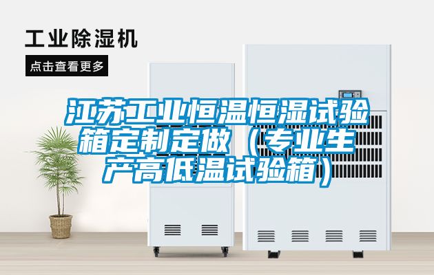 江苏工业恒温恒湿试验箱定制定做（专业生产高低温试验箱）