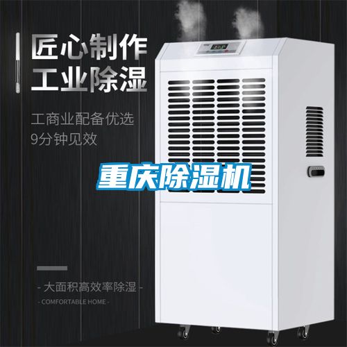 重庆除湿机