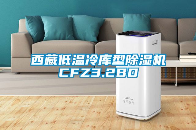 西藏低温冷库型除湿机CFZ3.2BD