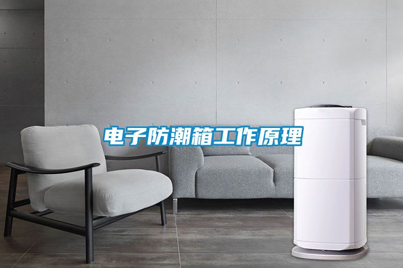 电子防潮箱工作原理