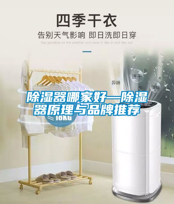 除湿器哪家好—除湿器原理与品牌推荐