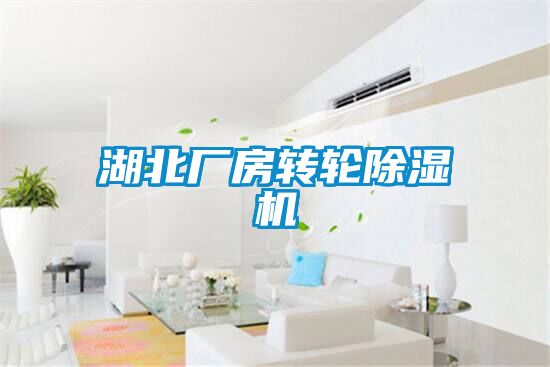 湖北厂房转轮除湿机