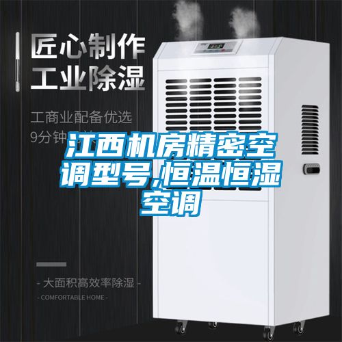 江西机房精密空调型号,恒温恒湿空调
