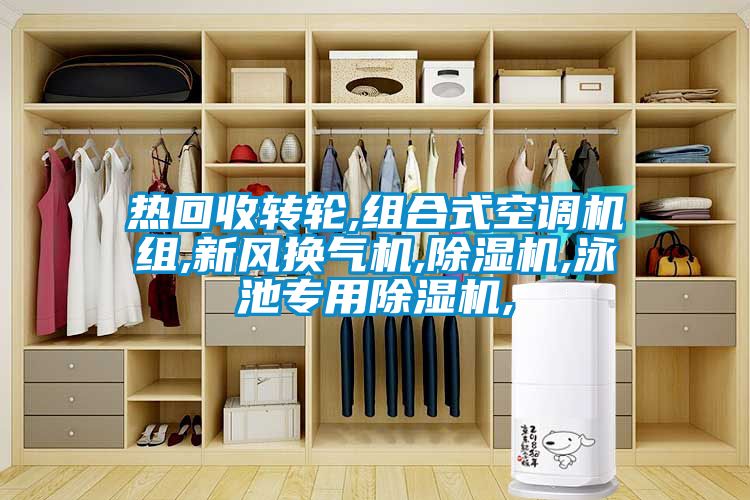 热回收转轮,组合式空调机组,新风换气机,除湿机,泳池专用除湿机,