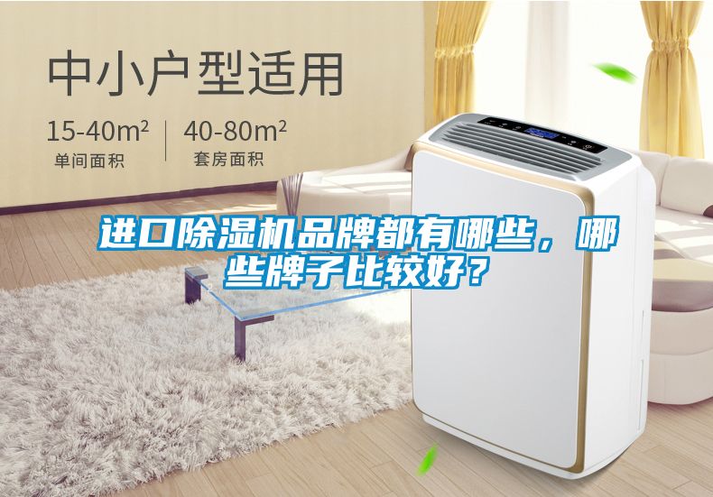 进口除湿机品牌都有哪些，哪些牌子比较好？