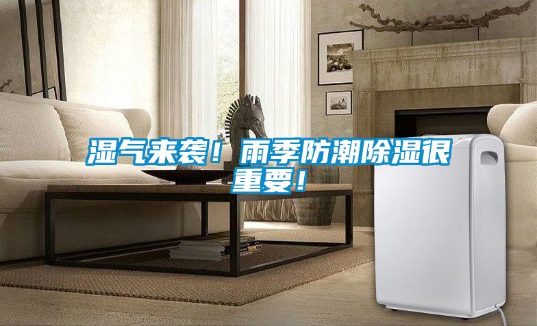 湿气来袭！雨季防潮除湿很重要！