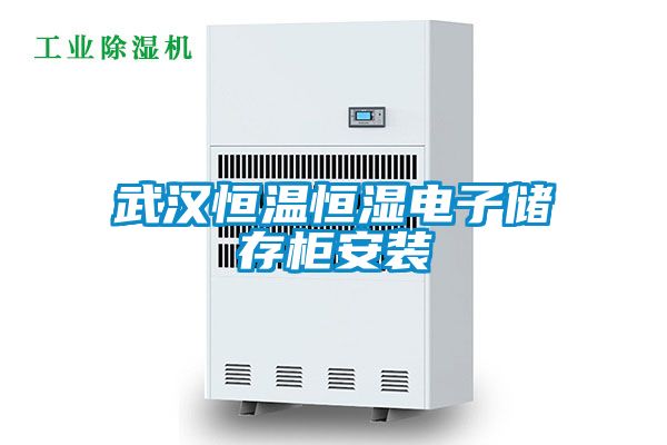 武汉恒温恒湿电子储存柜安装