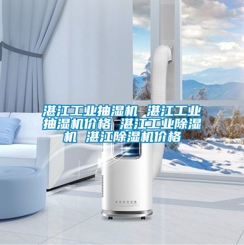 湛江工业抽湿机 湛江工业抽湿机价格 湛江工业除湿机 湛江除湿机价格