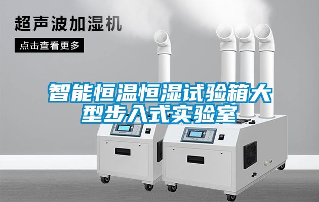智能恒温恒湿试验箱大型步入式实验室